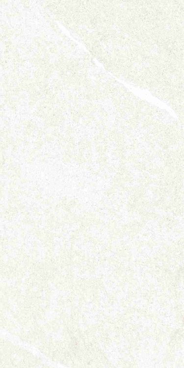 Dhara White Matte 12 x 24